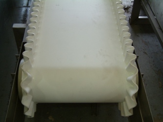 Belt Conveyor special